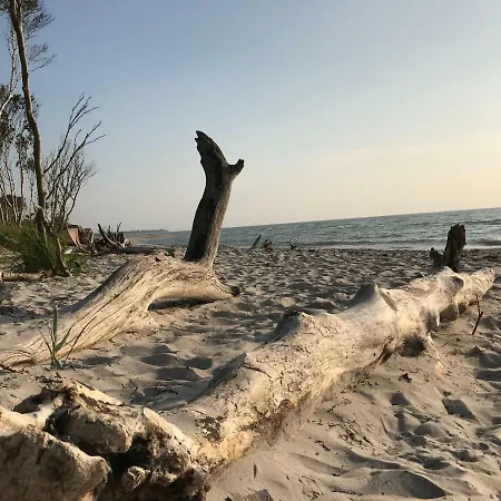 Leuchtturmhaus By Strandgut Ferienhaus